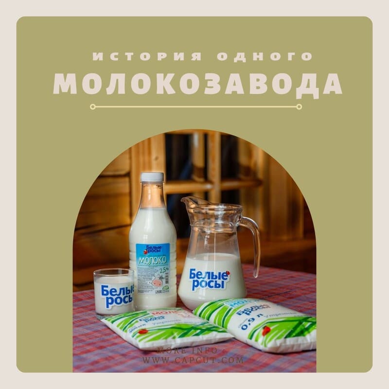 Проекты
